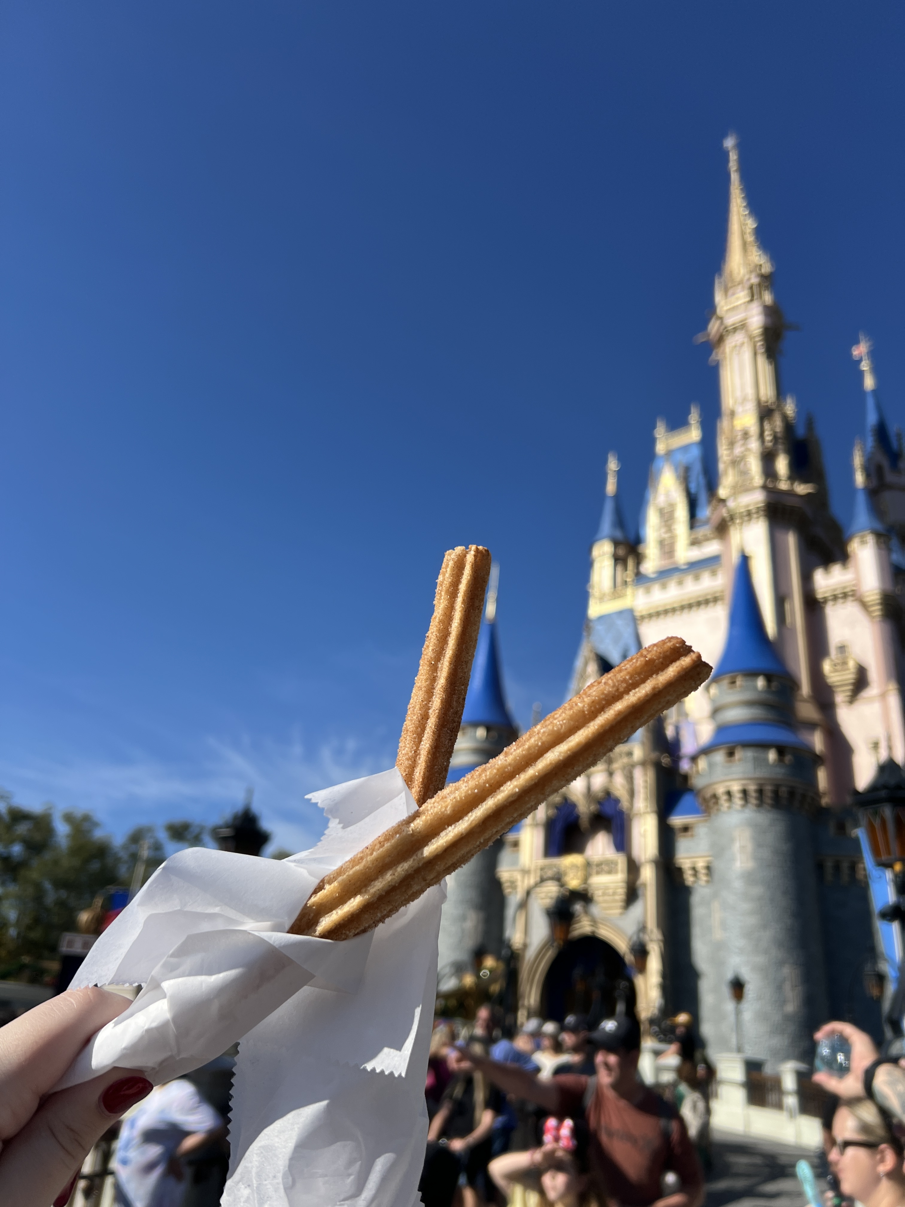 Churros at Cinderella's Castle in Magic Kingdom at Walt Disney World Resort