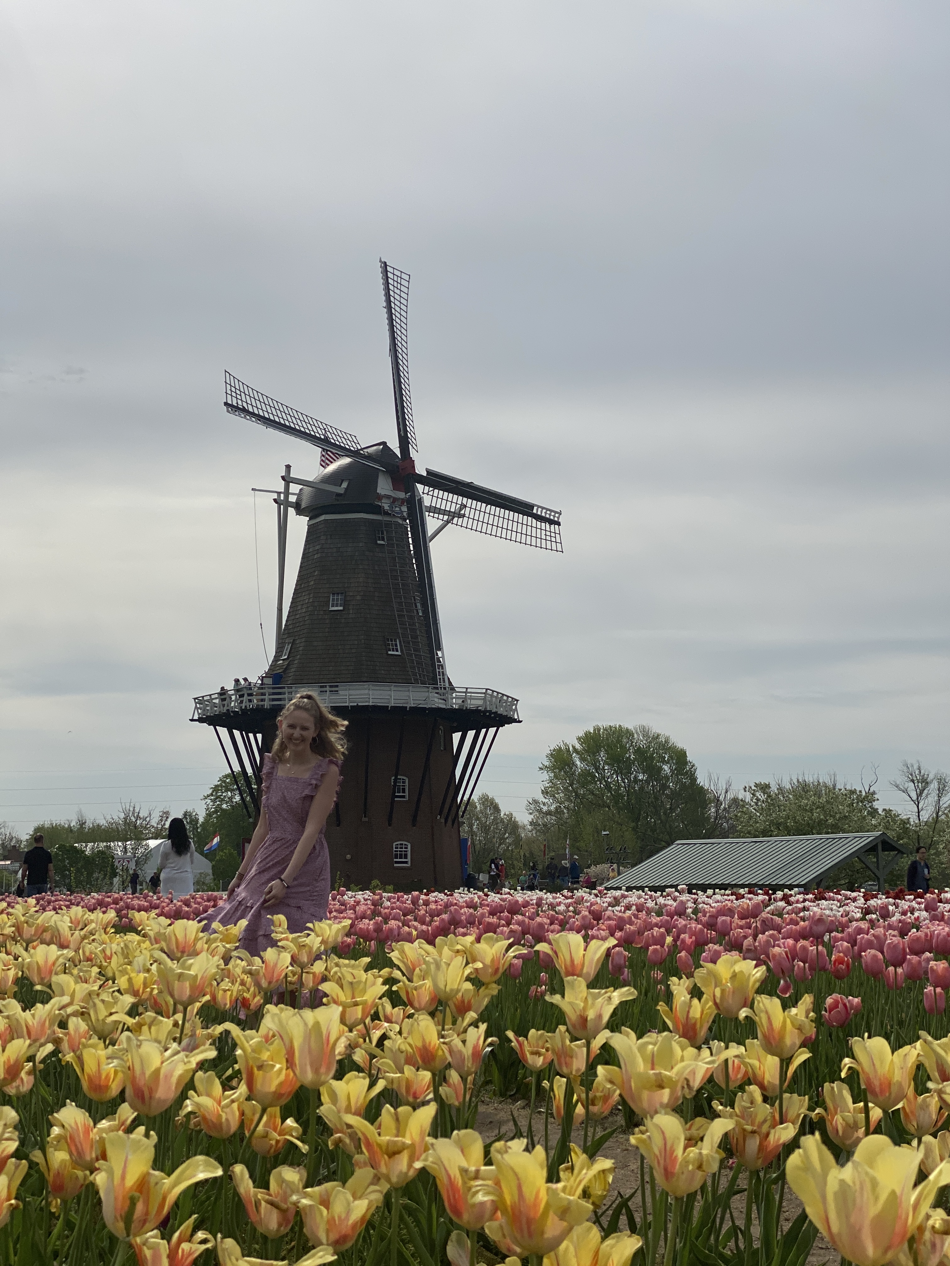 Alison Pauley Tulip Time Holland, Michigan Windmill Island